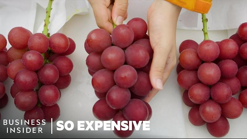 루비로망 등 세계에서 가장 비싼 과일 7가지