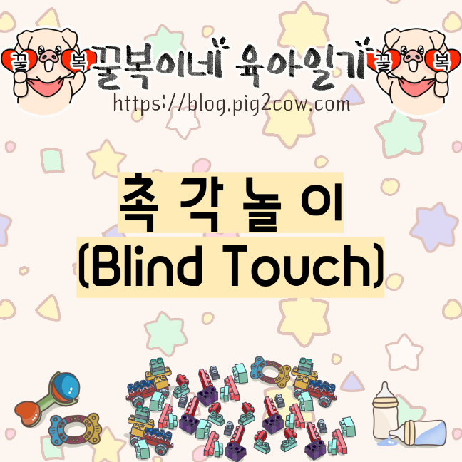 꿀복이네 육아일기 #82 촉각놀이(Blind Touch)