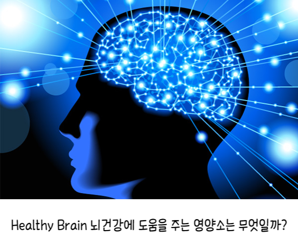 뇌건강 핵심성분 오메가3 비타민D 마그네슘