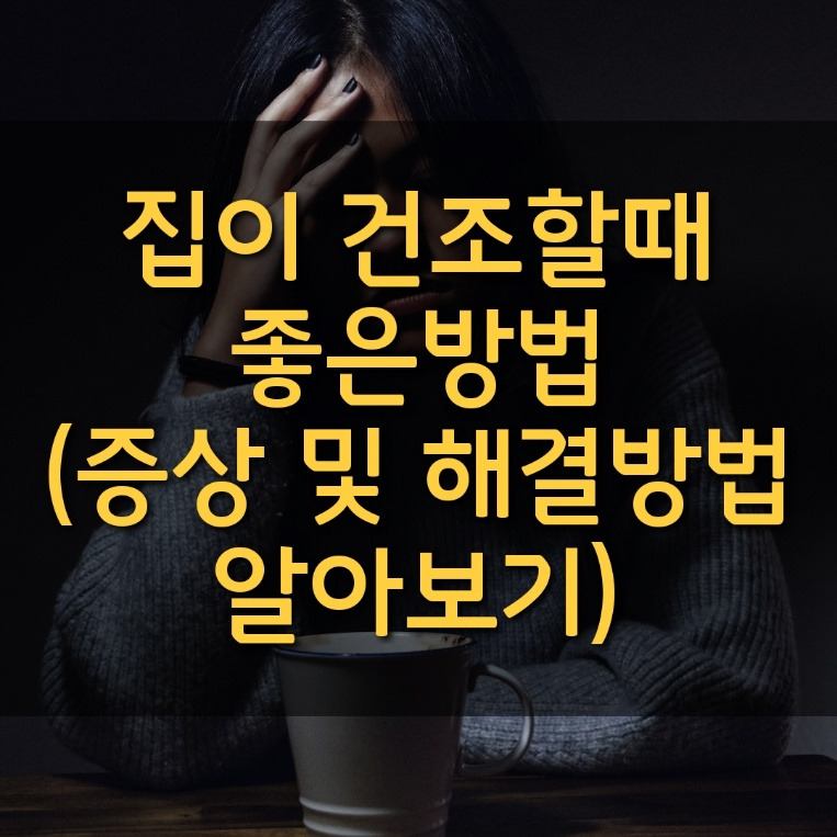 집이 건조할때 좋은방법 (증상, 가습기 추천)