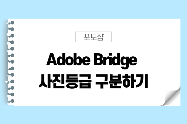 [포토샵 팁] adobe bridge로 사진등급 구분하기