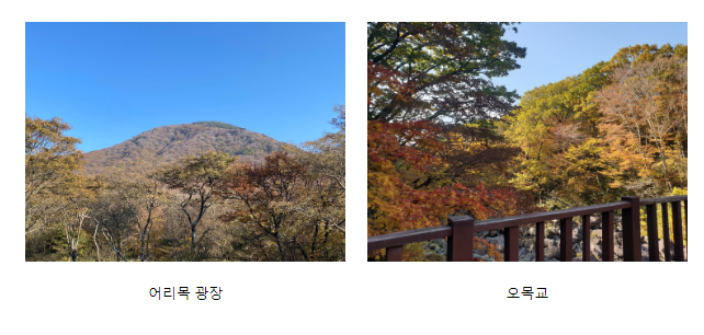 오늘(26일), 한라산 단풍 절정