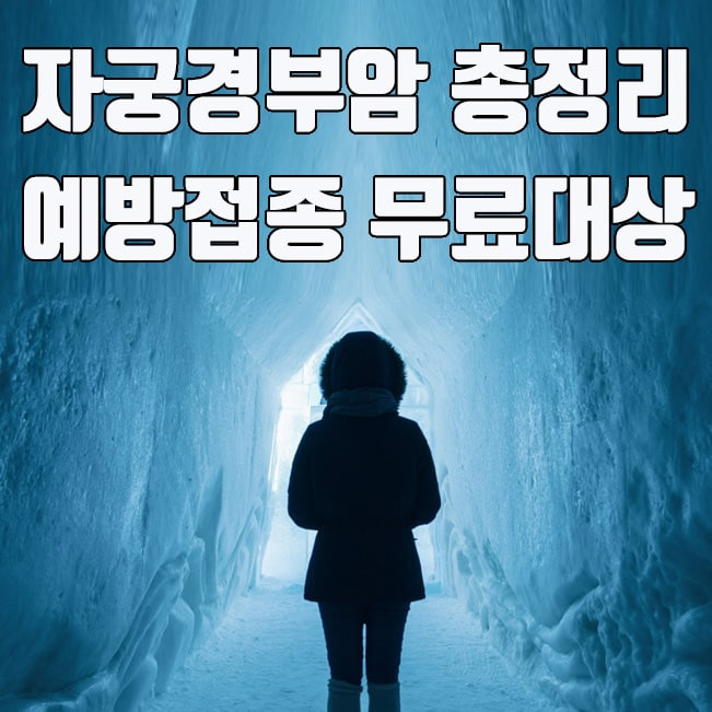 자궁경부암 예방접종 무료대상 및 접종 시기 총정리