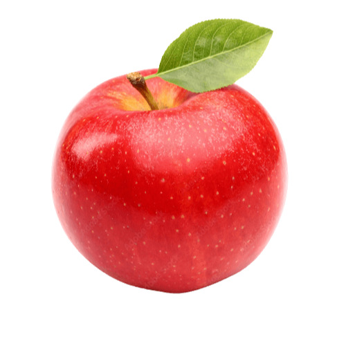 애플워치 백업방법