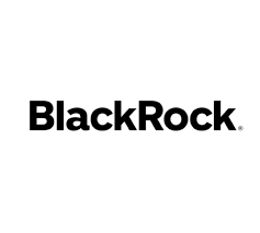 [4월 13일] BST(BlackRock Science & Technology Trust) 2주 매수 일지