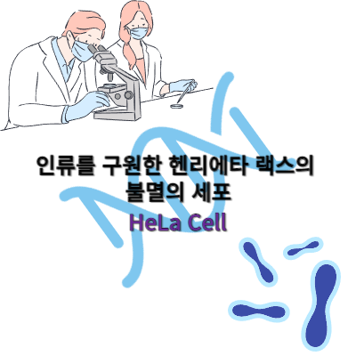 인류를 구원한 헨리에타 랙스의 불멸의 세포 HeLa Cell