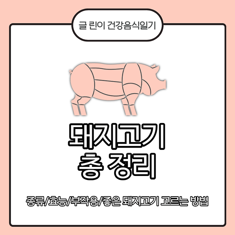 돼지고기 총 정리 : 종류/효능/부작용/좋은 돼지고기 고르는 방법