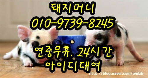 한게임머니상 010 9739 8245