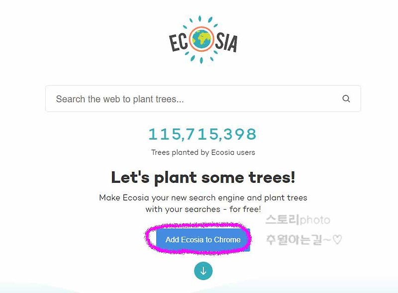 나무심는 검색엔진 에코시아 검색하며 환경보호(Ecosia)