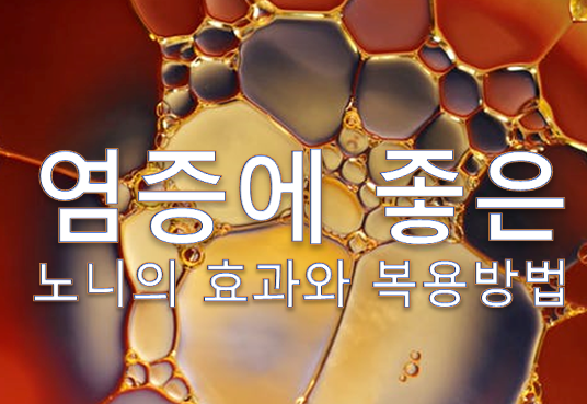 염증에 좋은 음식 노니의 효능은?