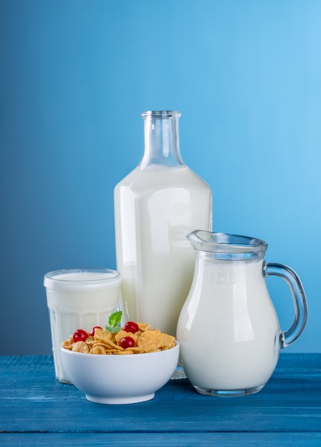 우유 : 우유를 마시기 좋은 시간? 유당불내증 증상, 우유 영양소, 다이어트 우유