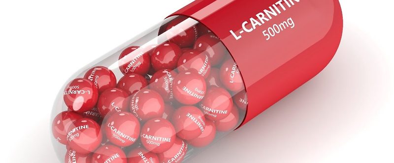 L-카르니틴, 다이어트 좋은 영양제 BEST 5, 추천 제품 - 5