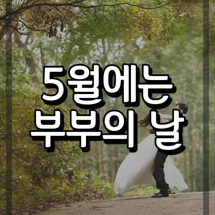 부부의 날에 선물해야 하나요? ( 부부의 세계 되돌아보기)