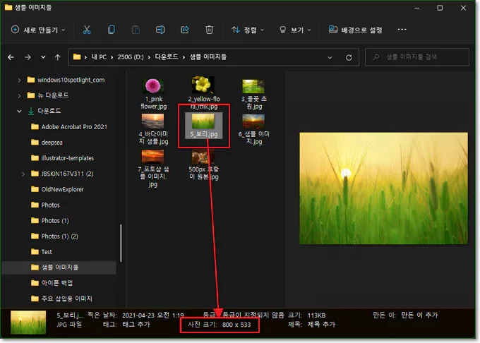 윈도우 파일 탐색기에서 상태 표시줄에 이미지 파일 해상도 표시