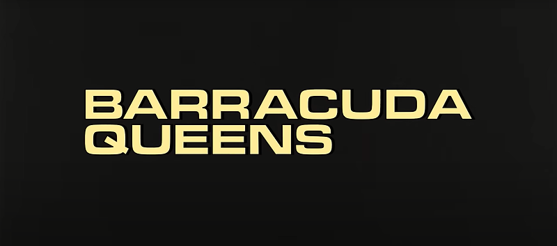드라마 바라쿠다 퀸스 / Barracuda Queens - 넷플릭스