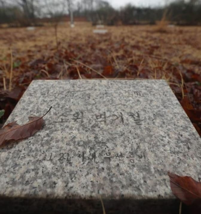 간첩 58명 묻힌 북한군 묘지를...문 정부는 평화공원 조성 시도했다
