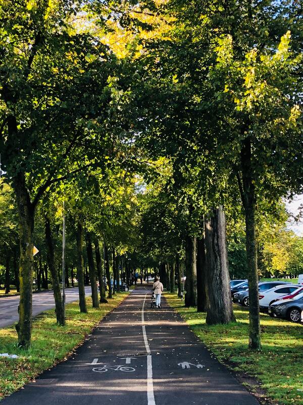 스웨덴에서 가장 친환경적인 도시 예테보리