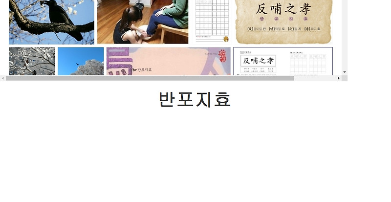 어머이건 필수야! 반포지효 과대광고 논란?