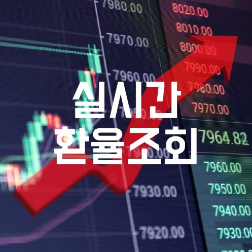 실시간 환율조회 쉽게 하는 법