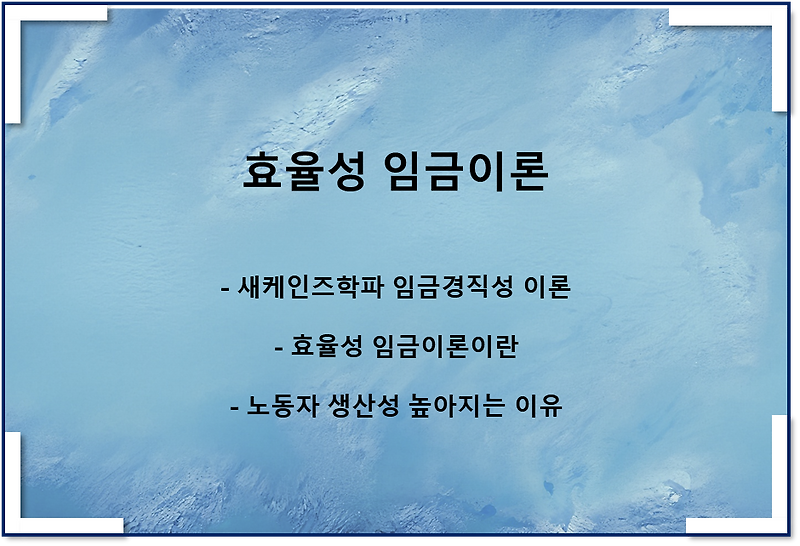 효율성 임금이론(새케인즈학파 실질임금의 경직성 이론 1)