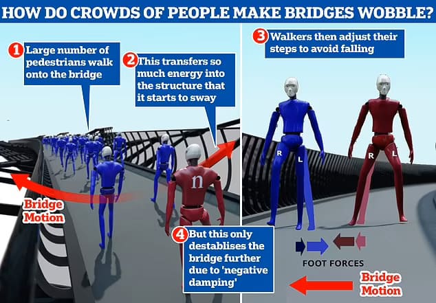 사람들이 걸으면 흔들리는 교량...왜 발생할까 VIDEO: Pedestrians transfer so much energy into the structure that it starts to sway - and as walkers..