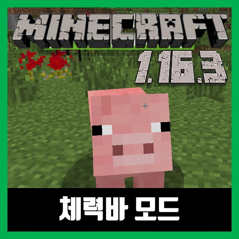 마인크래프트 1.16.3 체력바 모드 Neat