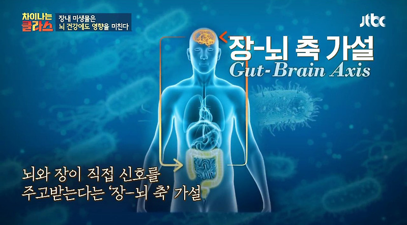 장-뇌 축 가설 (Gut-Brain Axis)
