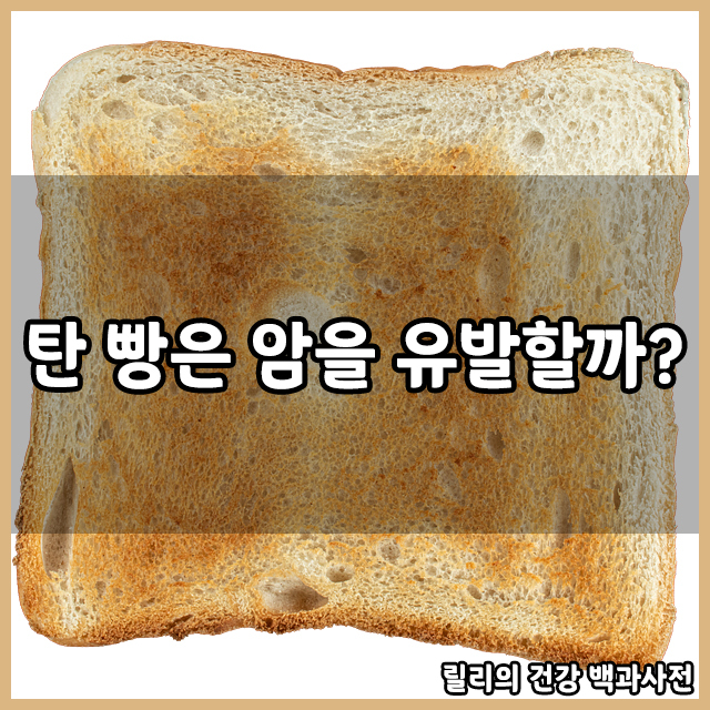 탄 식빵(탄 토스트)이 암을 유발할까?