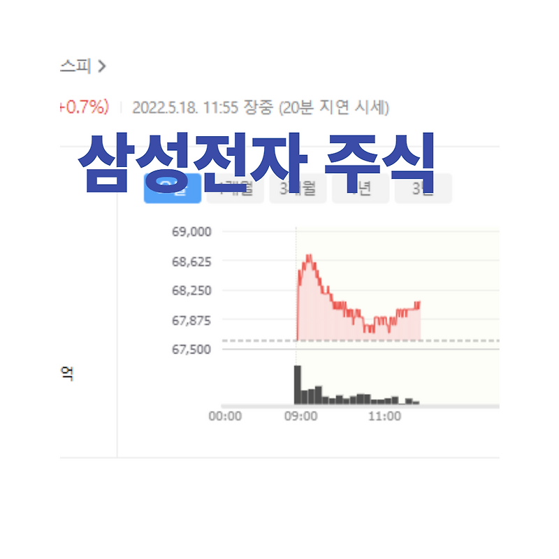 삼성전자 주식 배당금 지급과 지급일