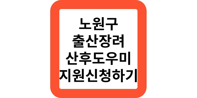 노원구 출산장려,임산부 건강관리 서비스(정부지원모음)