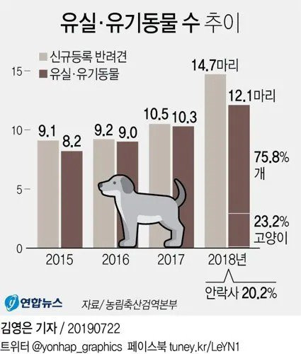 반려동물 유실 & 유기동물 근황