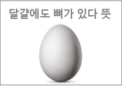 달걀에도 뼈가 있다 뜻 계란유골 유래