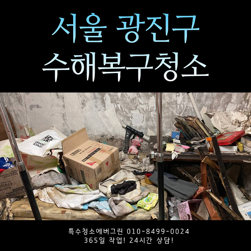 서울 광진구 강동구 반지하 수해복구청소 후불 비용 카드 결제 가능