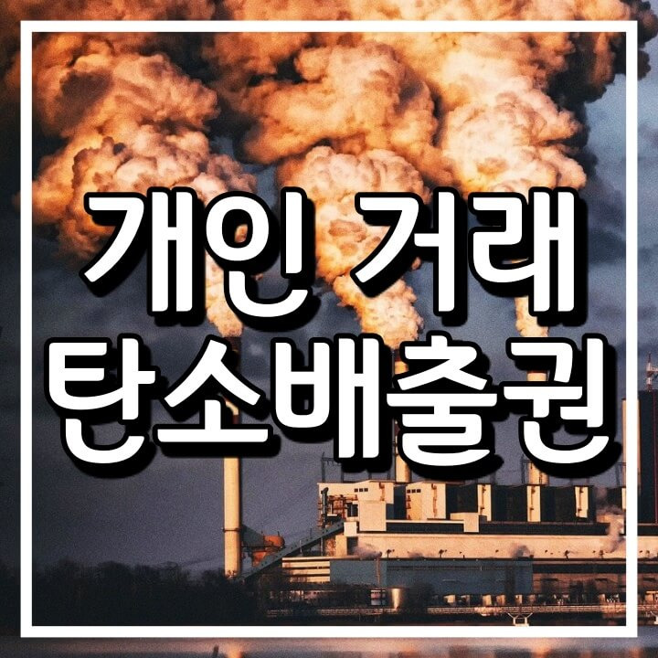 탄소배출권 개인 거래 ( 새로운 투자자산 알아보기 )