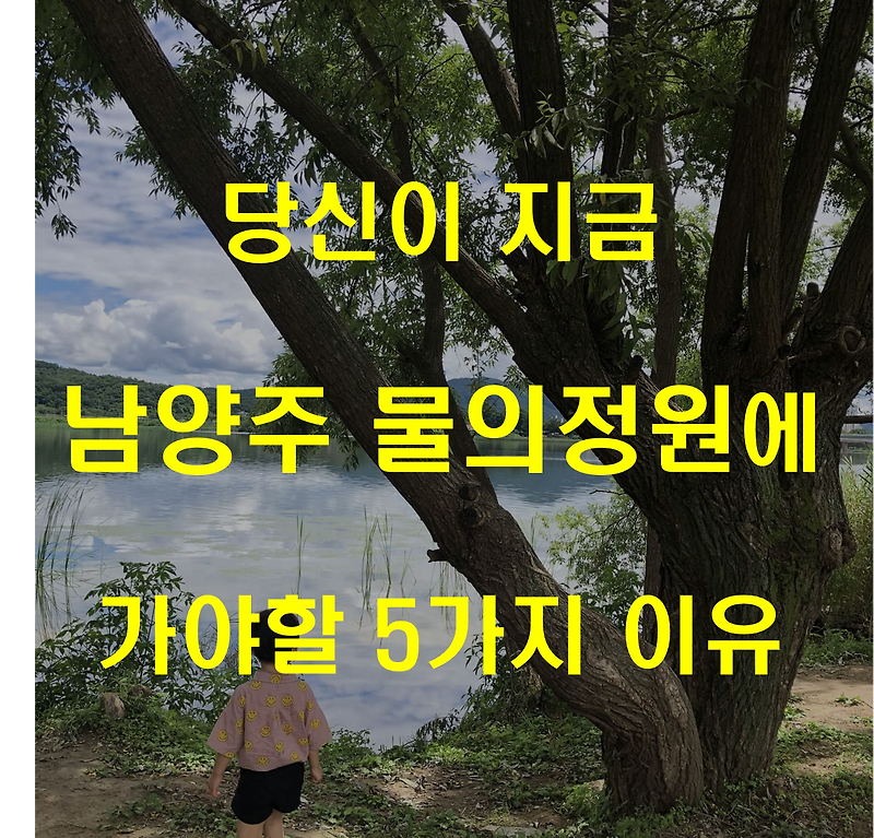 당신이 지금 남양주 물의정원에 가야할 5가지 이유