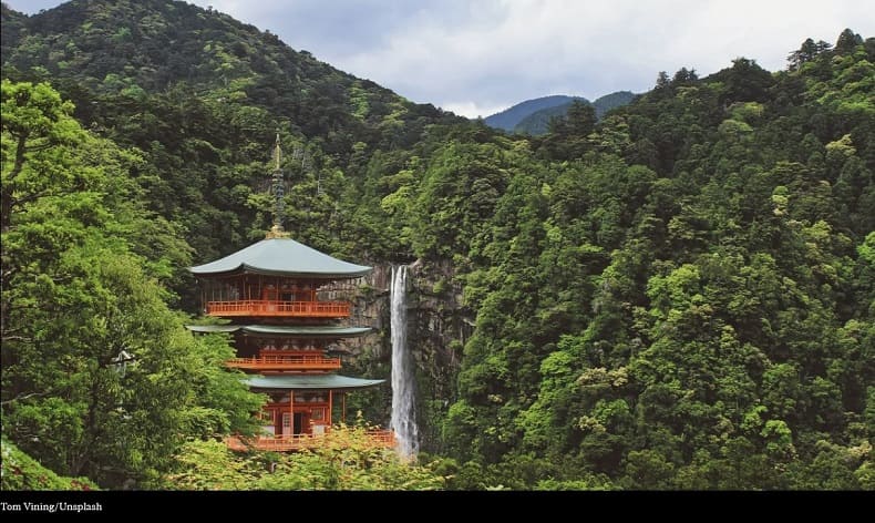 이번 일본 여행은 자연에서...8개의 국립공원 VIDEO:On Your Next Trip to Japan, Venture Into Nature