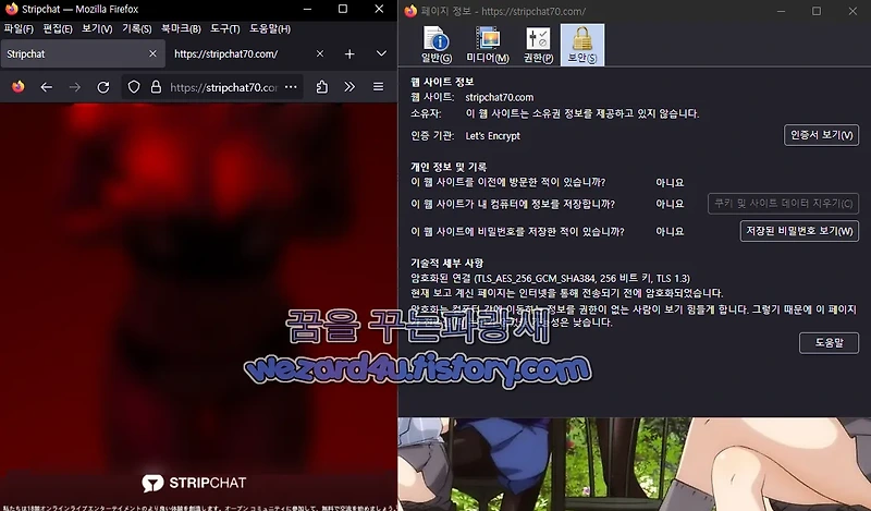 몸캠으로 의심이 되는 안드로이드 스마트폰 악성코드-Stripchat.apk(2023.8.11)