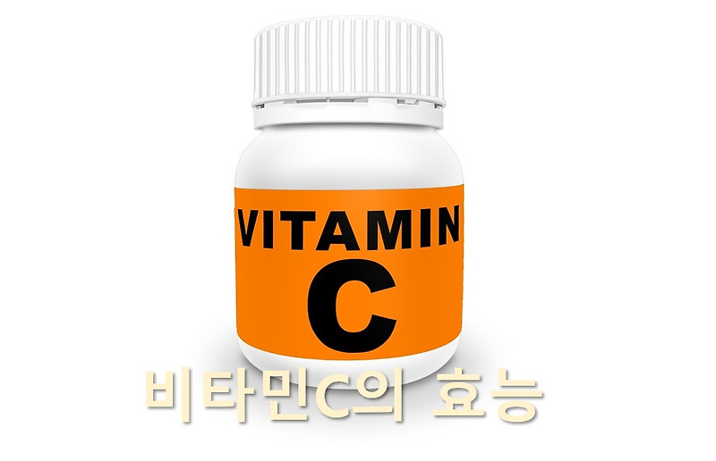 비타민C가 많이 들어 있는 음식 3가지와 비타민C의 효능