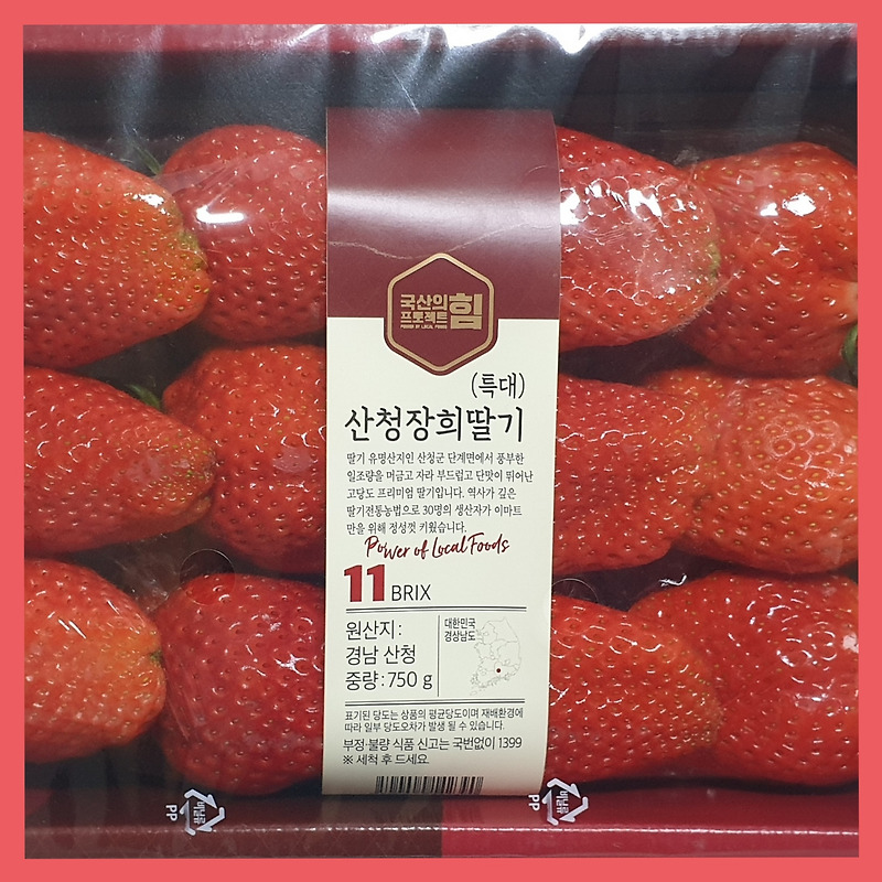 딸기 효능 (산청 장희딸기)