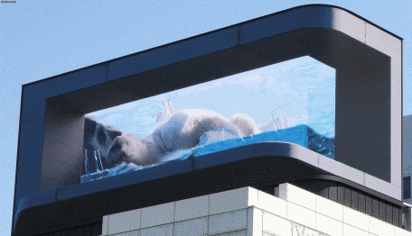 “절 지켜주세요” 서울 시청역에 거대한 북극곰 출몰한 이유 Higgs(힉스) LED Display 서울시청 인근 아나몰픽 기법 광고회사 HS애드가 6월5일 환경의 날을 맞아 기후위기 심각성 알리려 기획