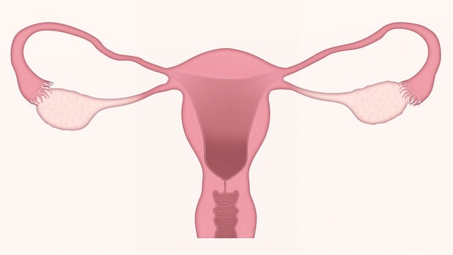 자궁내막암 : 자궁내막암의 생존율, 자궁내막암 단계