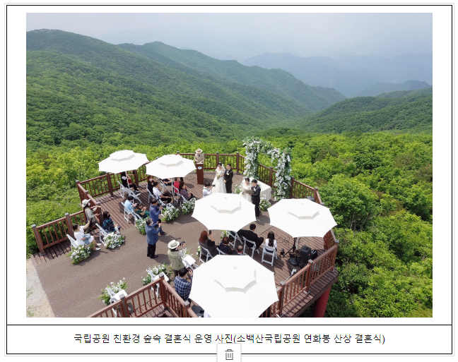 국립공원 친환경 숲속 결혼식의 주인공을 찾습니다