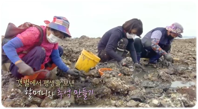 6시내고향 어서와 삽시도 섬 고향집 7336회 촬영지 충남 보령 연락처 주소 어디? 인생은 행복해 방송리뷰 8월 9일