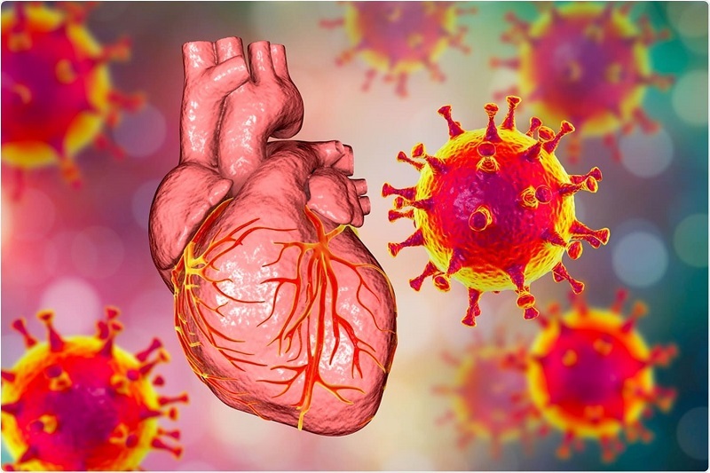 옥스퍼드 대, '모더나 화이자'  40세 이하 심근염 발생 위험 높아 How Covid Vaccines Sometimes Impact The Heart- Latest Study