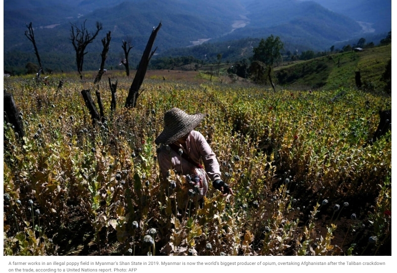 세계 최대 아편 생산국, 아프가니스탄에서 미얀마로 Forget Afghanistan, Myanmar is now the world’s top opium producer, UN says