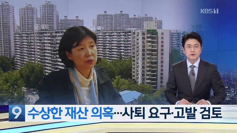 더불어시민당 양정숙 프로필 제명 자격박탈 검토