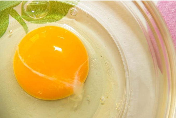 계란에 있는 끈적끈적한 흰색 물질은 무엇입니까? 여기 당신의 대답이 있습니다