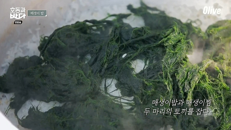 호동과바다 매생이밥 매생이찜 만들기 레시피