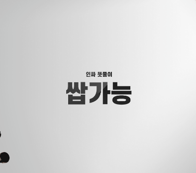 쌉가능 뜻 정리