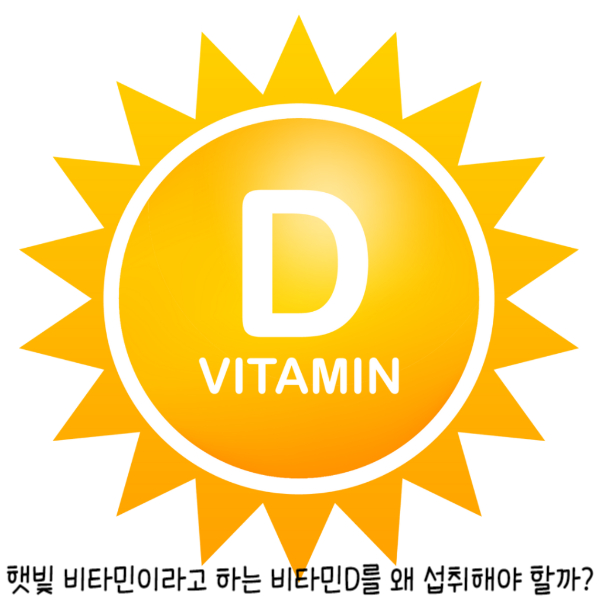 비타민D3 햇빛비타민 효능과 영양제궁합